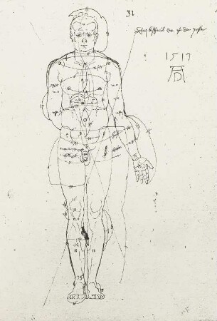 Mann von vorn mit Proportionsangaben : Dresdner Skizzenbuch (1507/1528). Mann von vorn mit Proportionsangaben (aus: R. Bruck: Das Skizzenbuch von Albrecht Dürer, Straßburg 1905, Tafel 3, Blatt 127r, Str. 52, Kriegsverlust). Dresden: SLUB Mscr.Dresd.R.147.f