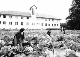 Kirchzarten: Kloster, Vordergrund Gemüsegarten mit Nonnen