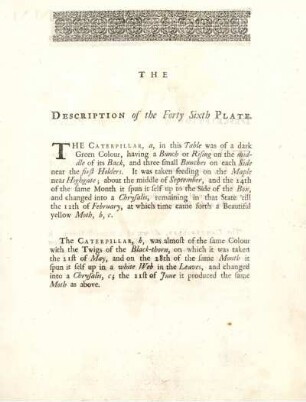 The Description of the Forty Sixth Plate
