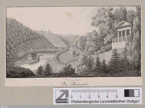 Die Promenade : [Teinach]