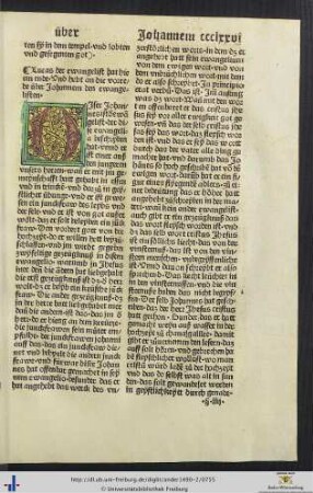 Die vorrede über Johannem den ewangelisten
