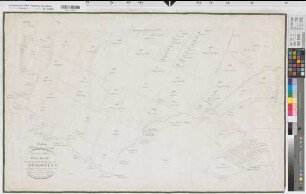 Appelhülsen (Nottuln), Teilung des Dirksfeldes, Bl.2 Reinkarte