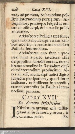 Caput XVII. De Artubus inferioribus