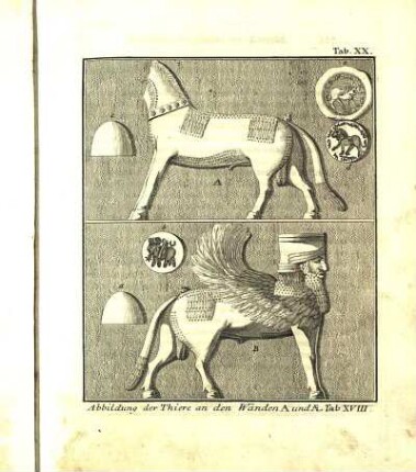 Tab. XX. Abbildung der Thiere an den Wänden A und Æ Tab XVIII.
