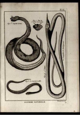 Pl. 35