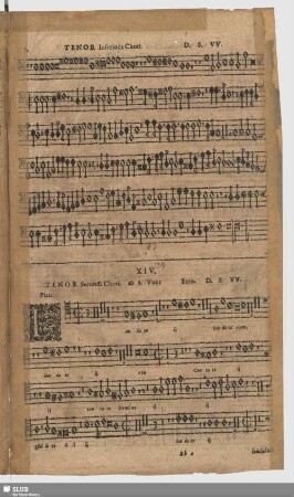 XIV. Laudate Dominum de caelis