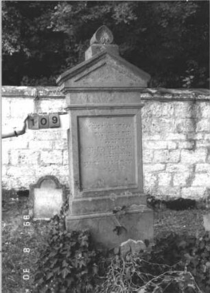 Grabstein 109 (Index: 99609745) Material: Sandstein Zustand: teilweise stark verwittert Maße HxBxT: 207x72x31 cm Beschreibung: Stele, Abdeckplatte, Giebelaufsatz, Verdachung, Mittelerhöhung mit Palmettenaufsatz, Schriftfeld rechteckig eingetieft, getreppter Sockel Symbolik: Palmette: Grabstein 109