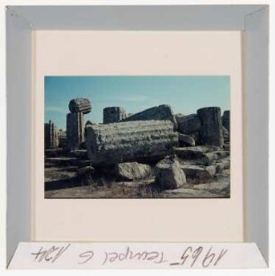 Selinunt: Säulentrümmer von Tempel G (Foto 1965)