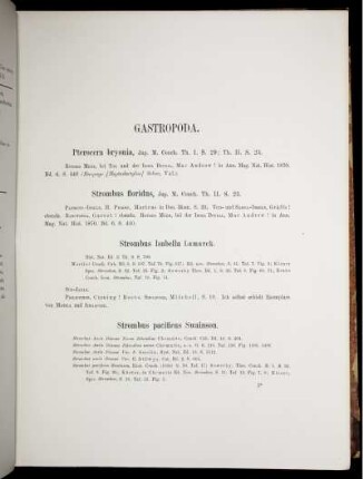Gastropoda. [bis] Lingula anatina,
