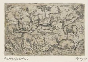Hirsche und Rehe