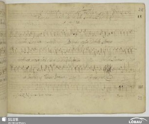Scandello, Antonio: Cantate Domino canticum novum laus ejus in ecclesia sanctorum / [Sta notte me sonnai]