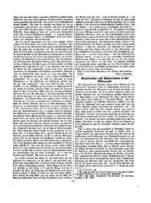 Empirismus uns Platonismus in der Pädagogik