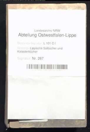 Salbuch der Vogtei Langenholzhausen von 1826, Bd. 1
