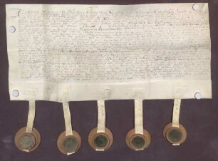 Instrumentum probationis des Lothar Friedrich von Rollingen.