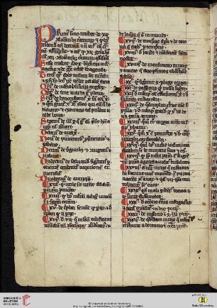 [Bertholdus Ratisbonensis OFM:] Sermones de dominicis sive (Rusticanus) de tempore