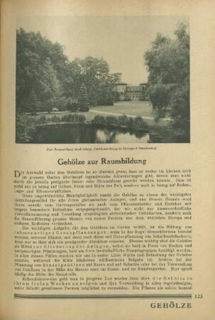 Gehölze