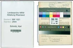 Entnazifizierung Karl Schmitz , geb. 04.03.1901 (Arbeiter)