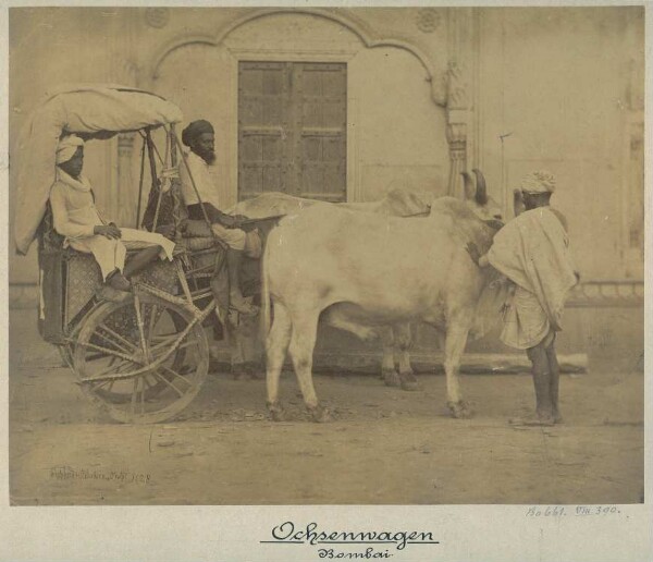 Ox cart