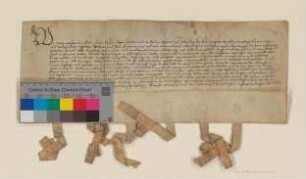 Ebel, Hans, Caspar, Georg, Joachim und Wilhelm, Gebrüder und Vettern von Krummensee, Erbsassen zu Altlandsberg, Krummensee und Wegendorf, bestätigen der Stadt Altlandsberg die von ihren Vorfahren erteilten Privilegien und den Vergleich von 1501 (Rep. 8 Stadt Altlandsberg - Urkunden Nr. 7).