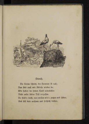 Storch.
