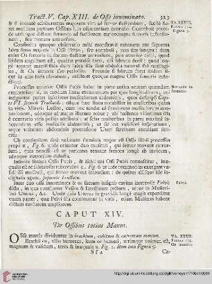 Caput XIV: De Ossibus totius Manus