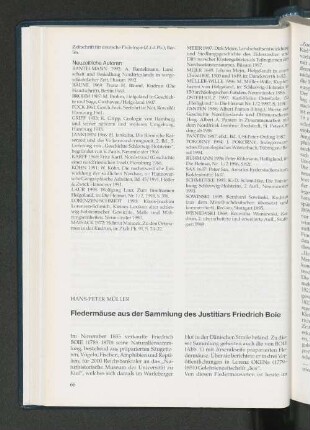 Fledermäuse aus der Sammlung des Justitiarts Friedrich Boie