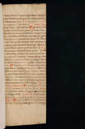 Flügelfälze einer lat. Perg.-Hs. (Missale, 14./15. Jh.)