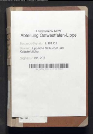 Salbuch der ehem. Vogtei Hohenhausen von 1856, Bd. 2 (Duplikat)