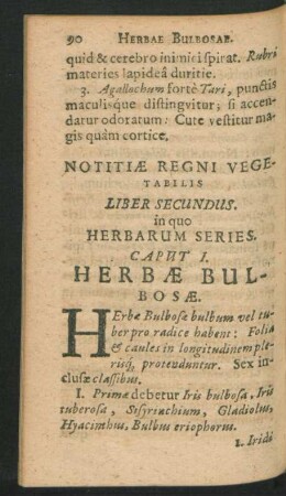 Caput I. Herbae Bulbosae.