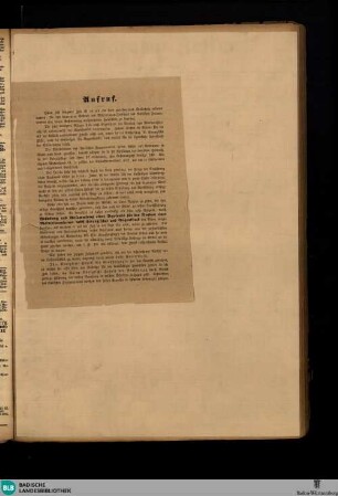 Karlsruher Zeitung, Aufruf