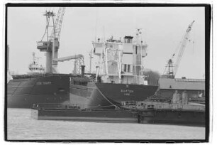 Barten (1998), Frachtschiff, Hermann Buss, Leer