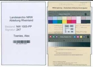 Entnazifizierung Alex Toenies , geb. 02.05.1887 (Versicherungs-Kaufmann)