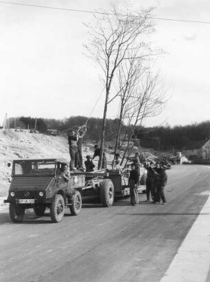 Transport von Bäumen zum Parkplatz Malakoff