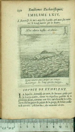 Embleme LXIV. L'Ecrevisse de mer, appellée Squille, qui auec sa corne tuë le Loup-marin qui la deuore.