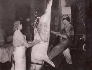 Häuten der Schweine : Dresden. VEB Vereinigte Fleisch- und Wurstwerke. Häuten der Schweine