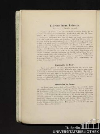 4. Graue franz. Reinette.