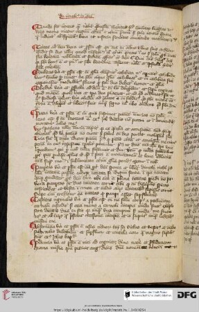 Ps.-Albertus Magnus, Paradisus animae