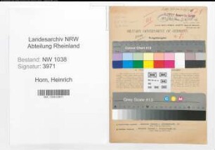 Entnazifizierung Heinrich Horn , geb. 29.04.1890 (Beamter)