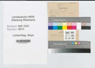 Entnazifizierung Aloys Lichtschlag , geb. 01.04.1910 (Angestellter)