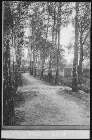 Lublinitz. Waldweg