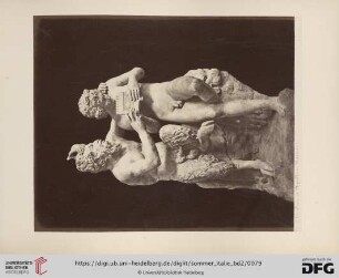 No. 5782. Pan et Apollon: Farnése