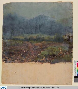 Landschaft mit Geröll