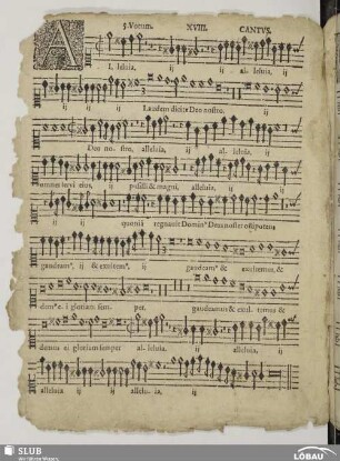 XVIII. Alleluia laudem dicite Deo nostro