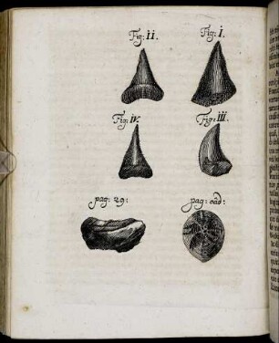 Fig. I. - Fig. IV.
