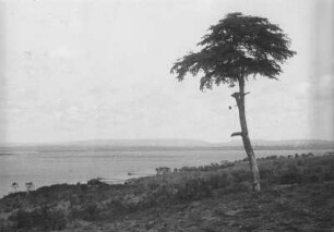 Landschaft bei Mombasa : Blick vom Land aus auf die Küstenlandschaft bei Mombasa