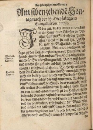 Am sibenzehende[n] Sontag nach der H. Dreyfaltigkeit, Euangelium Luc. am xiiij.