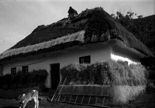 Nepotrowo Poarta Neagra: Ukrainisches Bauernhaus, mit Korngarben und Kälbchen