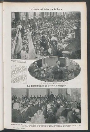 La fiesta del árbol en la Boca