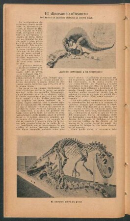 El dinosauro-alosauro del Museo de Historia Natural de Nueva York
