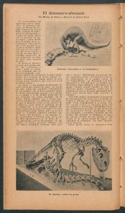 El dinosauro-alosauro del Museo de Historia Natural de Nueva York